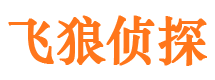 温泉侦探公司